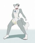absurd_res anthro blush bodily_fluids canid canine canis chest_tuft collar diaper dipstick_tail fennec_fox fluffy fluffy_tail fox genital_fluids gloves_(marking) head_tuft hi_res hybrid leg_markings looking_pleasured male mammal markings open_mouth pacifier pacifier_clip socks_(marking) solo tail tail_markings touching_diaper true_fox tuft unclean_diaper urine used_diaper vitriol_ink wet_diaper wetting white_diaper wolf xorowolf