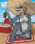 4:5 5_toes absurd_res alcohol alice_(haedra48) american_opossum anatid anseriform anserine anthro aquatic avian beach beach_towel beer beverage bikini bird black_sclera blonde_hair blue_sky blush blush_lines bodily_fluids bottle breasts brown_eyes clothing cloud container cooler detailed_background drunk feet female fin fish great_white_shark haedra48 hair hi_res ice looking_at_viewer mackerel_shark mammal marsupial open_mouth open_smile outside red_towel ruth_(haedra48) sand sea shark shark_teeth sharp_teeth skinny sky smile smiling_at_viewer solo substance_intoxication swan sweat sweaty_breasts swimwear tail teeth toes towel two-piece_swimsuit umbrella water white_shark winston_(haedra48) yellow_bikini yellow_clothing yellow_swimwear yellow_umbrella