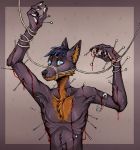  anthro blood blue_eyes bodily_fluids bound brown_body brown_hair canid canine canis domestic_dog gore hair herding_dog kolkolukija male mammal pain pastoral_dog pinned rope rope_bondage solo 