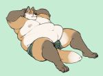  2020 anthro belly canid canine clothing fox guhreth looking_at_viewer male mammal moobs obese obese_anthro obese_male overweight overweight_anthro overweight_male simple_background solo underwear yasano_(artist) 