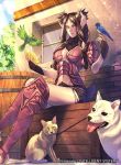 1girl animal_ears barrel bird boots braid braided_bangs breasts brown_hair bunny_ears bunny_girl bunny_tail cat cleavage crate dog facial_mark fire_emblem fire_emblem_awakening fire_emblem_cipher floppy_ears fur light_rays midriff official_art outdoors panne_(fire_emblem) purple_armor red_eyes stone string_belt tail thighs weapon yoneko_okome 