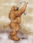  absurd_res adios anthro armpit_hair back_muscles balls bathing belly biceps big_balls big_butt black_muzzle black_nose body_hair brown_body brown_fur butt canid canine canis domestic_dog eyebrows eyes_closed foreskin fur genitals grate hi_res male mammal musclegut muscular muscular_anthro muscular_male nude overweight overweight_anthro overweight_male penis pit_bull pj_(pittiepj) pubes shower showering slightly_chubby smile solo steam stocky tan_body tan_fur thick_neck thick_penis thick_thighs uncut wet wet_body wet_fur 