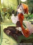  1girl animal_ears black_hair boots cloak corset fire_emblem fire_emblem_cipher fire_emblem_fates frills grey_hair junk kurosawa_tetsu multicolored_hair official_art outdoors pants red_cloak red_eyes red_hood silk spider_web stick tail tight tight_pants two-tone_hair velouria_(fire_emblem) wolf_ears wolf_tail 