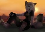 anthro black_body black_fur blue_eyes breasts canid canine claws clothed clothing collar detailed_background female fluffy fluffy_tail fox fur gloves hair handwear mammal multicolored_body multicolored_fur open_mouth open_smile sitting smile solo tashalisets teeth two_tone_body two_tone_fur white_body white_fur white_hair 