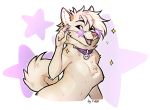  5_fingers anthro breasts brown_eyes canid canine canis collar collar_only collar_tag curled_tail domestic_dog eyewear f-r95 featureless_breasts female fingers fur glasses hair hi_res kim_(f-r95) mammal open_mouth purple_collar shiba_inu simple_background solo spitz star tan_body tan_fur tan_hair teeth tongue white_background 
