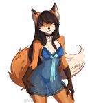  1:1 anthro babydoll canid canine clothed clothing collar digital_drawing_(artwork) digital_media_(artwork) female fox fur furrholic lingerie looking_at_viewer mammal nightgown orange_body orange_fur panties smile smiling_at_viewer solo translucent underwear white_body white_fur yellow_eyes 