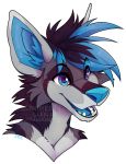  2020 ailuranthropy alpha_channel black_hair blue_eyes blue_hair blue_nose blue_tongue canid canine canis digital_media_(artwork) hair headshot_portrait mammal open_mouth portrait simple_background smile teeth tongue transparent_background wolf 
