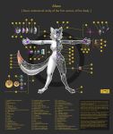  10ne-v absurd_res alexa anthro breasts canid canine description diagram english_text female fox hi_res living_machine looking_at_viewer machine mammal mechanical_limbs nanotechnology nipples robot solo study text 