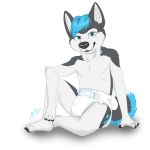  1:1 aito black_body black_fur blue_eyes blue_hair canid canine canis diaper domestic_dog ears_up fur hair hi_res husky looking_at_viewer male mammal nordic_sled_dog sitting sketch smile smiling_at_viewer solo spitz white_body white_fur 