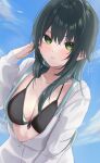  1girl bikini black_bikini blush breasts cleavage closed_mouth collarbone commentary_request day gakuen_idolmaster green_eyes green_hair grey_jacket hair_between_eyes highres hood hooded_jacket idolmaster jacket jacket_over_swimsuit long_hair long_sleeves looking_at_viewer medium_breasts open_clothes outdoors rng_koh sky solo swimsuit tsukimura_temari unzipped 