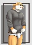  absurd_res anthro artbyrohan black_clothing black_hoodie black_topwear briefs bulge canid canine canis clothing domestic_dog drawyourfursona eyewear glasses hi_res hoodie male mammal meme meme_clothing solo standing topwear underwear white_clothing white_underwear 