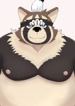  2020 anthro belly blue_eyes brown_body brown_fur canid canine damekemo fur hi_res kemono live-a-hero male mammal moobs nipples overweight overweight_anthro overweight_male portrait raccoon_dog shoen simple_background solo tanuki video_games 
