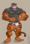  anthro black_clothing black_hoodie black_topwear briefs bulge clothing da_boz drawyourfursona felid hi_res hoodie male mammal meme meme_clothing muscular muscular_anthro muscular_male pantherine solo standing tiger topwear underwear white_clothing white_underwear 