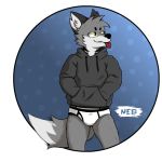  1:1 anthro black_clothing black_hoodie black_topwear blep briefs canid canine canis clothing drawyourfursona hi_res hoodie male mammal meme meme_clothing neorberus solo standing tongue tongue_out topwear underwear white_clothing white_underwear wolf 