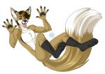  alpha_channel anthro ariveil black_body black_fur brown_body brown_eyes brown_fur brown_hair butt canid canine claws fangs fennec fluffy fluffy_tail fox fur hair hi_res male mammal multicolored_body multicolored_fur open_mouth open_smile smile solo teeth tongue tongue_out white_body white_fur 