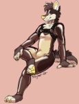  anthro bulge canid canine clothing harness hi_res inner_ear_fluff leaning leaning_back looking_aside male mammal narrowed_eyes redfeatherstorm rubber rubber_suit sitting smile smirk solo tuft yellow_eyes yellow_nose 
