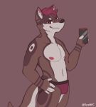  anthro bulge canid canine clothing fur hair hand_on_hip hi_res male male/male mammal nipples phone snaftfc solo taking_picture underwear 
