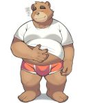  2020 anthro bakedanooki blush brown_body brown_fur bulge clothing eyes_closed fur hi_res humanoid_hands kemono male mammal overweight overweight_anthro overweight_male plantigrade shirt simple_background solo topwear underwear ursid white_background 