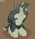  angry anthro arms_tied bound bulge canid canine clothing fur fur_markings hi_res kneeling looking_at_viewer male mammal markings nipples pole snaftfc solo underwear unnatural_colors 