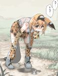  1girl animal_ears belt bent_over breasts commentary_request covered_nipples dripping elbow_gloves extra_ears eyebrows_visible_through_hair full_body gloves hair_between_eyes hands_on_own_knees high-waist_skirt i_love_serval kemono_friends kneehighs looking_at_viewer medium_hair miniskirt nipples oekaki open_mouth orange_hair print_gloves print_legwear print_neckwear print_scarf print_skirt scarf see-through serval_(kemono_friends) serval_ears serval_print serval_tail shirt shoes skirt sleeveless sleeveless_shirt small_breasts solo standing tail thighhighs translation_request wet wet_clothes wet_face wet_hair wet_shirt wet_skirt white_shirt yellow_eyes zettai_ryouiki 