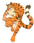  2020 4:5 anthro biceps captainjohkid digital_media_(artwork) felid fur hi_res male mammal muscular muscular_anthro muscular_male pantherine simple_background solo stripes tiger 
