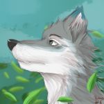  1:1 abstract_background absurd_res anthro canid canine canis fur grey_body grey_fur headshot_portrait hermesdidit hi_res leaf male mammal painting_(artwork) portrait simple_background sketch solo solo_focus traditional_media_(artwork) wind wolf 