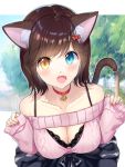  1girl :d animal_ear_fluff animal_ears bangs bare_shoulders black_bra blue_eyes blush bow bra breasts brown_hair cat_ears cat_tail choker cleavage cleavage_cutout clothing_cutout collarbone commentary_request day eyebrows_visible_through_hair hair_bow hanasaki_mahiru heterochromia highres lace-trimmed_bra lace_trim large_breasts long_sleeves looking_at_viewer meme_attire off-shoulder_sweater off_shoulder open-chest_sweater open_mouth original outdoors pink_sweater red_bow red_choker short_hair smile solo sweater tail tree underwear upper_body yellow_eyes 