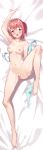  dakimakura naked nipples pussy uncensored yukizawa 