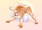  absurd_res anthro ass_up big_breasts breasts canid canine canis collar domestic_dog genitals gynomorph hi_res intersex mammal nastypasty nipples nude penis solo 