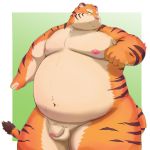  1:1 2020 absurd_res anthro balls belly blush felid flaccid genitals hi_res humanoid_genitalia humanoid_penis kemono kumajjjj male mammal moobs nipples obese obese_anthro obese_male overweight overweight_anthro overweight_male pantherine penis simple_background solo tiger 