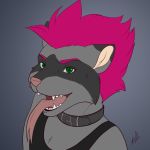  1:1 anthro choker clothing ethan_bedlam facial_piercing fangs forked_tongue goth green_eyes hair jewelry labret_piercing lip_piercing male mammal mohawk_(disambiguation) necklace nightshadeinks open_mouth piercing pink_hair procyonid punk raccoon shirt solo tank_top tongue tongue_out topwear 