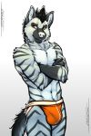  ace_(graydiel) anthro black_hair bulge clothing crossed_arms hair hi_res hyaenid male mammal nipple_piercing nipples orange_clothing orange_eyes orange_underwear piercing simple_background smile solo standing striped_hyena tsaiwolf underwear white_background 