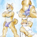  &lt;3 1:1 anthro armpit_hair blushed body_hair bulge butt canid canine canis clothing domestic_dog glitter_trap_boy hi_res male mammal muscular muscular_anthro muscular_male shiba_inu short_stack solo spitz underwear 