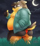  2020 anthro belly black_nose butt canid canine canis clothed clothing domestic_dog hoodie kemono male mammal moobs moon night nipples open_clothing open_hoodie open_topwear outside overweight overweight_anthro overweight_male solo topwear toshi_(artist) underwear 