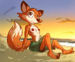  2018 anthro bassybefuddle beach breasts canid canine casual_exposure clothed clothing countershade_face countershade_torso countershading darma_(rock_dog) digital_media_(artwork) evening female fox fur looking_up mammal multicolored_body multicolored_fur navel nipples orange_body orange_fur outside partially_clothed public public_exposure rock_dog sand seaside sitting small_breasts solo sunset swimming_trunks swimwear tomboy topless topless_female two_tone_body two_tone_fur water white_body white_fur 