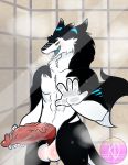  abs anthro balls big_balls big_penis black_body black_fur blush breath fur genitals hi_res huge_penis kin-digital long_tail looking_at_viewer male mammal muscular muscular_anthro muscular_male on_glass open_mouth panting penis sergal shower solo steam vein veiny_penis wet white_body white_fur 