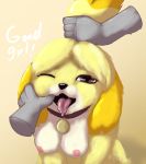  animal_crossing anthro breasts canid canine canis collar disembodied_hand domestic_dog female finger_fetish finger_in_mouth finger_play fingers hair hi_res isabelle_(animal_crossing) kisera mammal mouth_play nintendo pulling_hair solo touching_hair video_games 