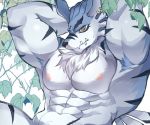  abs canid canine canis chung0u0 digimon digimon_(species) gimped hand_on_head humanoid ivy_(plant) male mammal muscular muscular_humanoid muscular_male nipples simple_background solo weregarurumon white_background wolf 