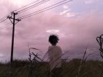  1boy black_hair cloud cloudy_sky commentary_request false_memory from_behind grass guan_chao_(false_memory) halo hebe_lang highres male_focus photo_background power_lines shirt short_sleeves sky solo standing tall_grass utility_pole white_shirt 
