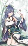  1girl bamboo bird black_hair blue_eyes chinese_clothes chinese_commentary closed_mouth commentary_request detached_sleeves dress fu_hua fu_hua_(azure_empyrea) hair_ornament hair_over_one_eye highres honkai_(series) honkai_impact_3rd huijiang_monster long_hair ponytail smile solo very_long_hair white_dress white_sleeves 