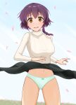  1girl absurdres bow bow_panties braid breasts brown_eyes commentary_request commission cowboy_shot falling_petals floating_clothes green_bow green_panties highres long_sleeves looking_at_viewer mahouka_koukou_no_rettousei medium_hair naatovalhalla open_mouth panties pantyshot petals purple_hair sakurai_minami skeb_commission standing sweater teeth thighs underwear upper_teeth_only variant_set white_sweater wind wind_lift 