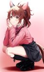  1girl absurdres ahoge animal_ears black_shoes black_skirt black_socks blush breasts brown_eyes brown_hair closed_mouth commentary dantsu_flame_(umamusume) ear_covers hair_between_eyes hairband highres hinoaki horse_ears horse_girl horse_tail large_breasts long_sleeves multicolored_hair pink_hairband pink_shirt ponytail shirt shoes skirt smile socks solo squatting tail umamusume white_hair 
