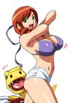  agumon bikini_top breasts cirima claws cleavage covered_nipples daimon_sayuri digimon digimon_savers dinosaur drill_hair green_eyes large_breasts mature navel orange_hair short_shorts shorts side_ponytail solo surprised teeth 