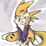  digimon renamon tagme 