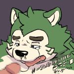  1:1 2020 anthro black_nose bodily_fluids canid canine canis censored crying domestic_dog fur genitals green_body green_fur hi_res k_gutless kemono live-a-hero male mammal mokdai penis slightly_chubby solo_focus tears tongue tongue_out 