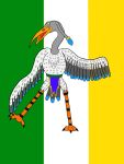  3:4 avian beak bird clothing feathers feral heron hi_res ireland loincloth male pelecaniform ring solo wings 