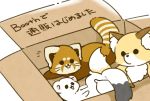  2020 ailurid biped box brown_body brown_fur canid canine chibi dot_eyes feral fox fur group japanese_text mammal mustela mustelid musteline red_panda shi_nominmin stoat text white_body white_fur 