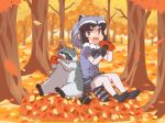  2020 animal_humanoid arai-san autumn detailed_background eating feral food fur grey_body grey_fur humanoid kemono_friends mammal mammal_humanoid outside procyonid procyonid_humanoid raccoon raccoon_humanoid sitting tree umikazenet3 