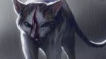  artist_name bleeding blood blood_on_face brown_eyes cat commentary highres injury looking_at_viewer neytirix no_humans original outdoors rain realistic serious white_fur 