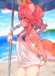  animal_ears bikini fate/grand_order see_through swimsuits tamamo_no_mae wisespeak 